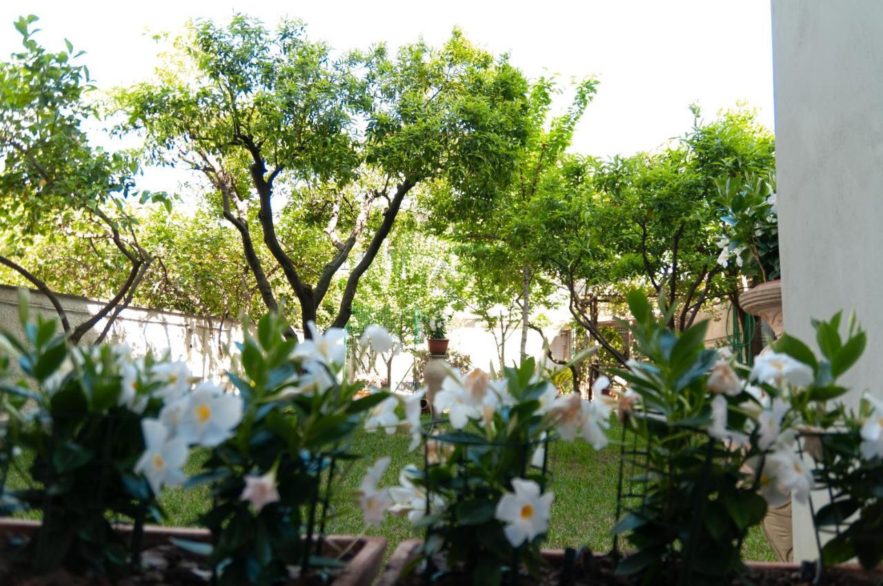 Casa Teresinella Garden Daire Torre Annunziata Dış mekan fotoğraf