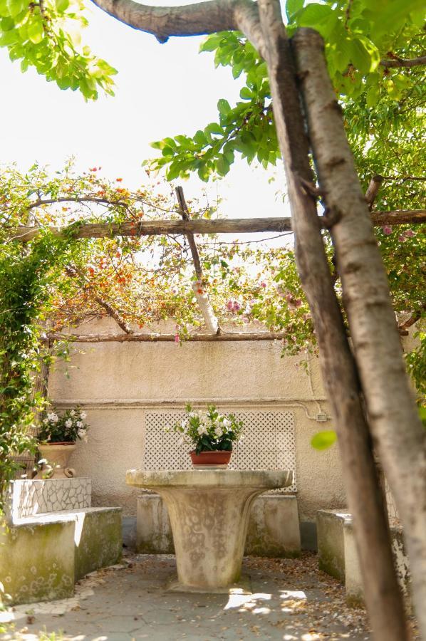 Casa Teresinella Garden Daire Torre Annunziata Dış mekan fotoğraf