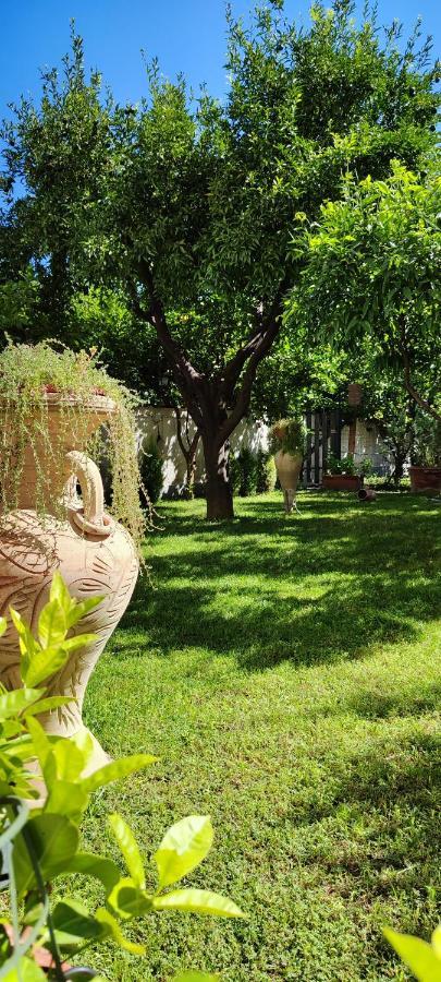 Casa Teresinella Garden Daire Torre Annunziata Dış mekan fotoğraf