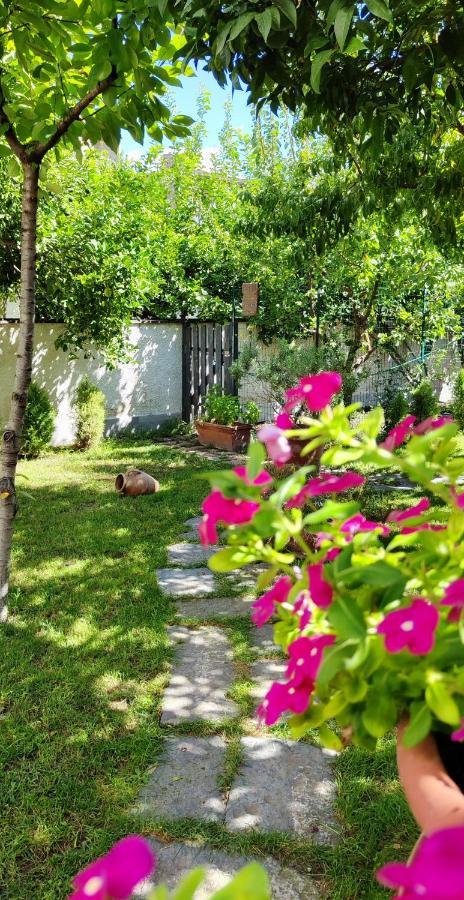 Casa Teresinella Garden Daire Torre Annunziata Dış mekan fotoğraf